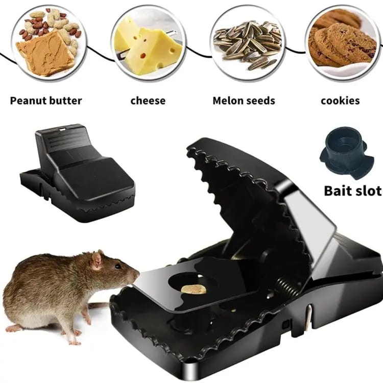 Fawverse Mouse Trap🐭 – Strong, Safe & Reusable🐁
